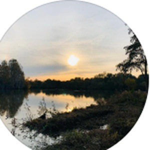 Zdjęcie Tomka